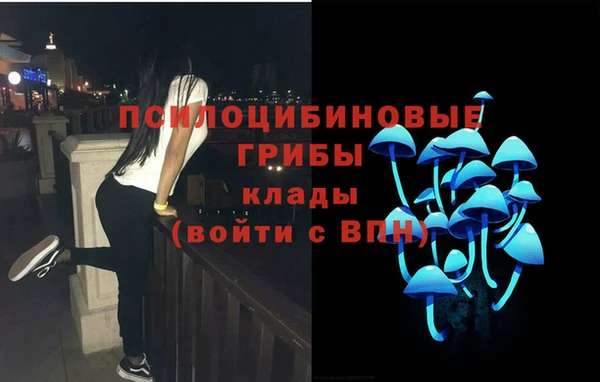 соль курить ск Михайловка