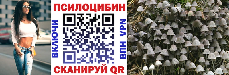 Галлюциногенные грибы GOLDEN TEACHER Краснозаводск